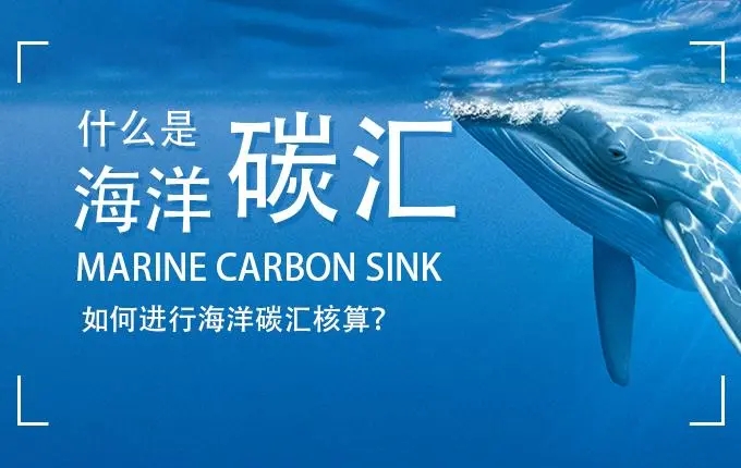 海洋碳匯核算系統(tǒng)
